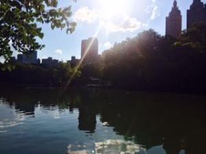 Central park - So pretty. 